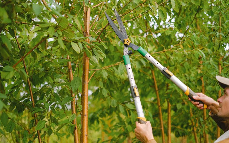 Tree trimming in Portage Des Sioux, MO